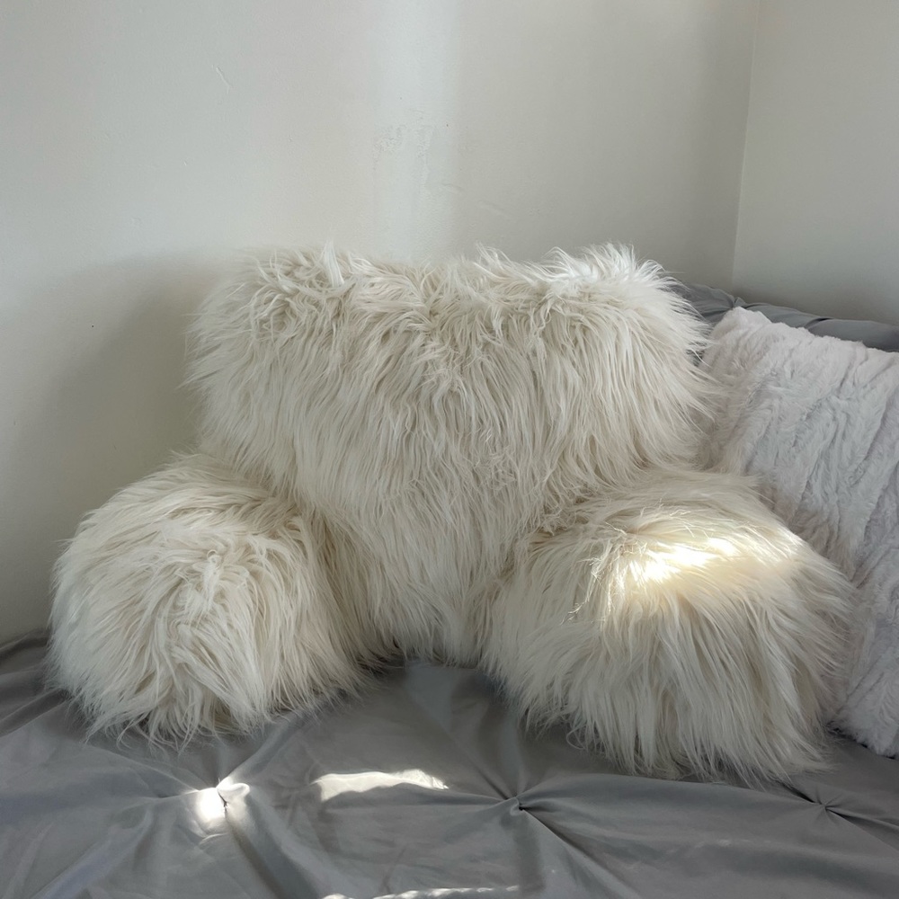 Pottery Barn Teen Faux Fur Backrest Pillow